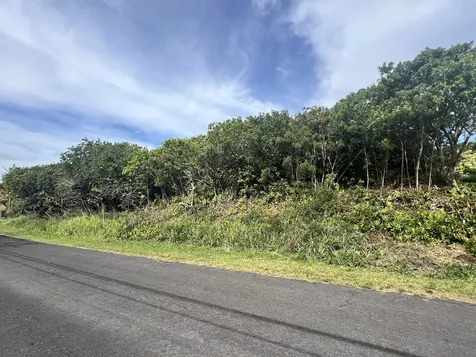 Kaulua Street Naalehu HI 96772