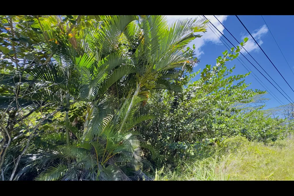 16TH Avenue Keaau HI 96749