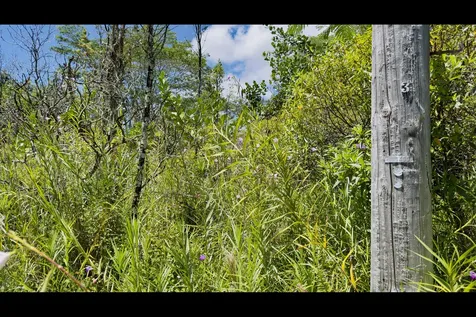 16TH Avenue Keaau HI 96749