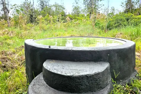 16-1346 Road 7 (OPEAPEA) Mountain View HI 96760