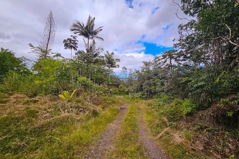 16-1346 Road 7 (OPEAPEA) Mountain View HI 96760