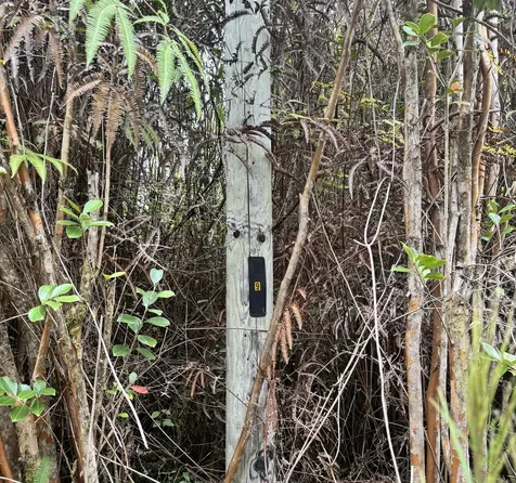 Amakihi Street Mountain View HI 96771