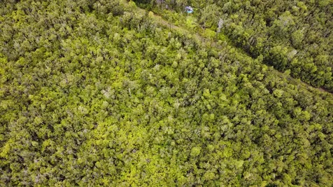 Amakihi Street Mountain View HI 96771