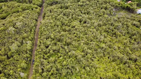 Amakihi Street Mountain View HI 96771