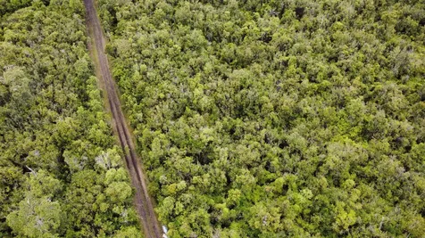 Amakihi Street Mountain View HI 96771