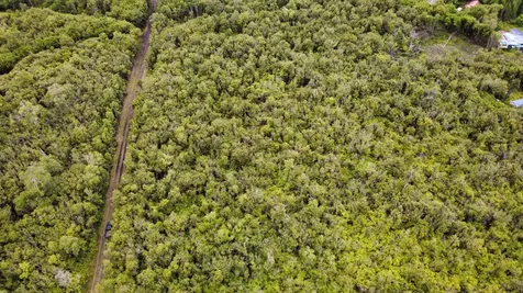 Amakihi Street Mountain View HI 96771