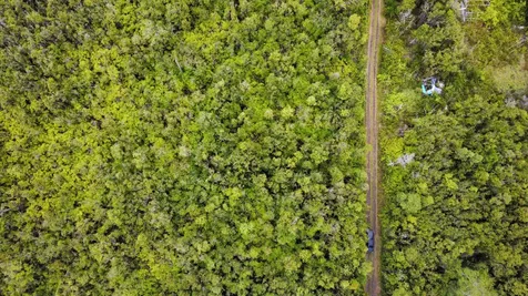 Amakihi Street Mountain View HI 96771