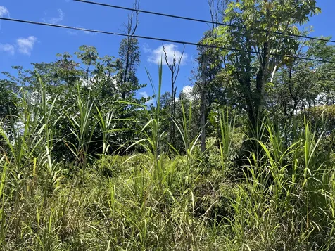 13TH Avenue Keaau HI 96749