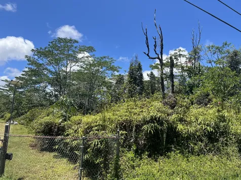 13TH Avenue Keaau HI 96749