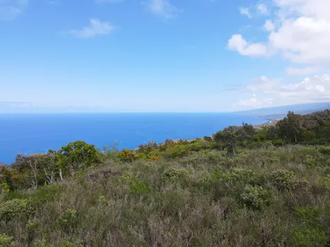 87-451 Ahe Kolo Place Captain Cook HI 96704