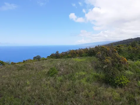 87-451 Ahe Kolo Place Captain Cook HI 96704