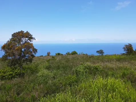 87-451 Ahe Kolo Place Captain Cook HI 96704