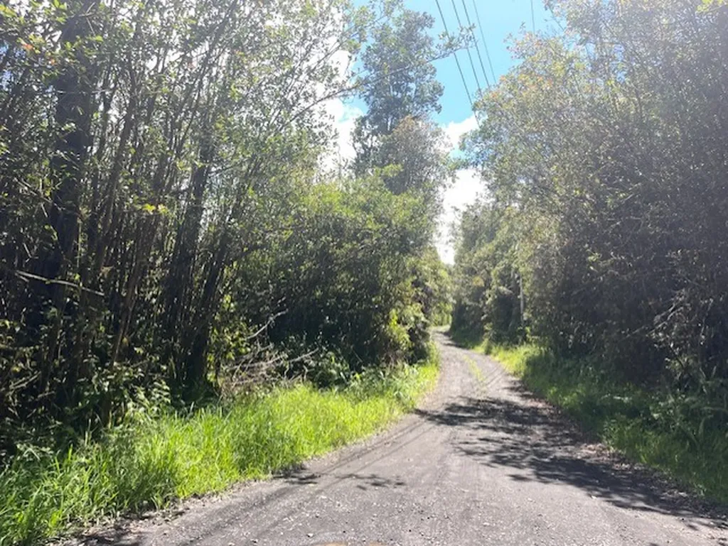 17-3352 Maunalani Tract Road Mountain View HI 96771