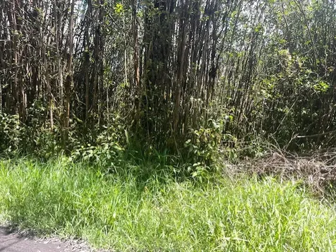 17-3352 Maunalani Tract Road Mountain View HI 96771