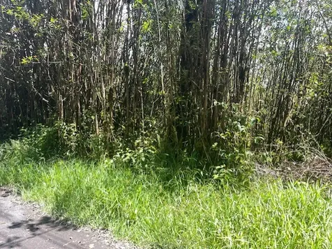 17-3352 Maunalani Tract Road Mountain View HI 96771