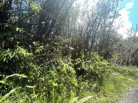 17-3352 Maunalani Tract Road Mountain View HI 96771