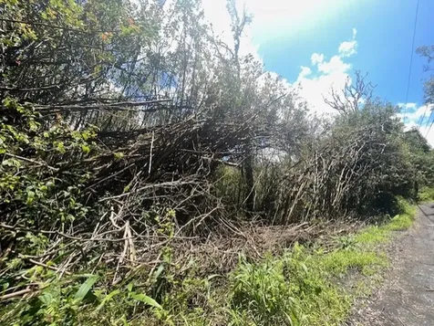 17-3352 Maunalani Tract Road Mountain View HI 96771