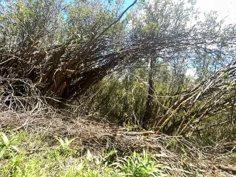 17-3352 Maunalani Tract Road Mountain View HI 96771