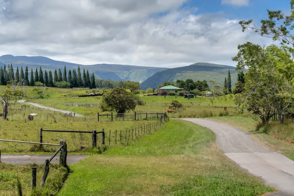 47-5254 Waikoekoe Lane Honokaa HI 96727