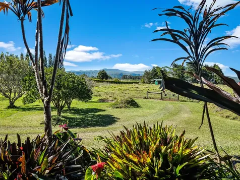 47-5254 Waikoekoe Lane Honokaa HI 96727