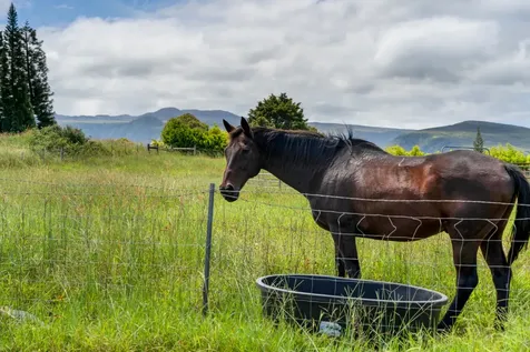 47-5254 Waikoekoe Lane Honokaa HI 96727