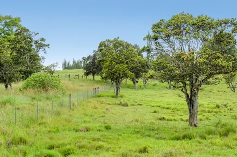 47-5254 Waikoekoe Lane Honokaa HI 96727