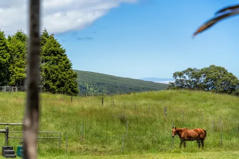 47-5254 Waikoekoe Lane Honokaa HI 96727