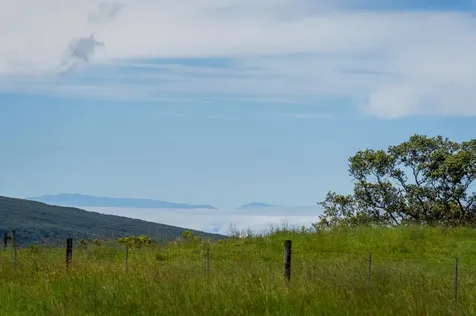 47-5254 Waikoekoe Lane Honokaa HI 96727