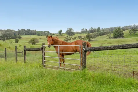 47-5254 Waikoekoe Lane Honokaa HI 96727