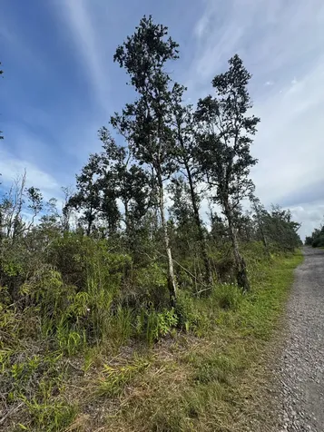 40TH Avenue Kurtistown HI 96760