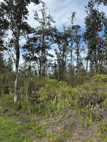 40TH Avenue Kurtistown HI 96760