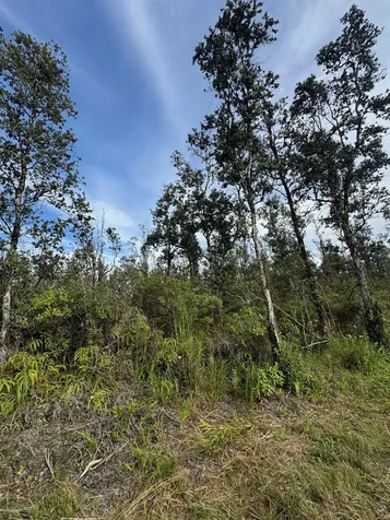 40TH Avenue Kurtistown HI 96760