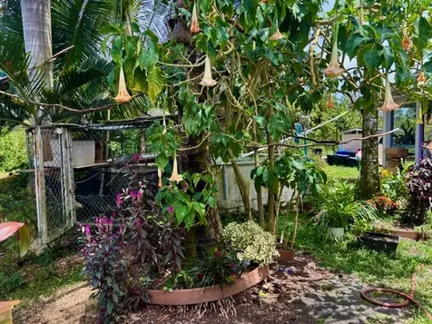 16-2122 Bamboo Drive Pahoa HI 96778