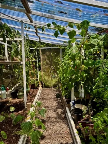 16-2122 Bamboo Drive Pahoa HI 96778