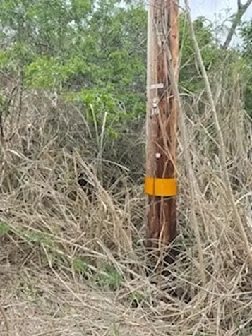 Mark Twain Street Naalehu HI 96772