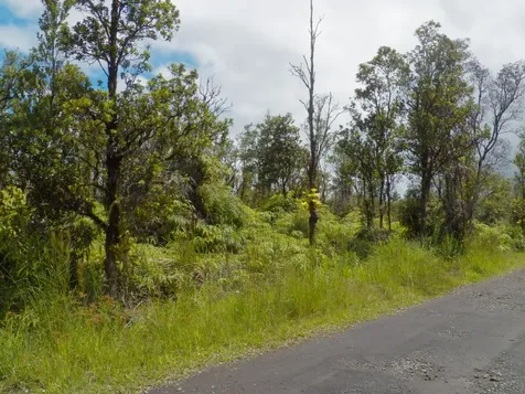 Naia Street Mountain View HI 96771