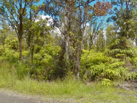 Naia Street Mountain View HI 96771