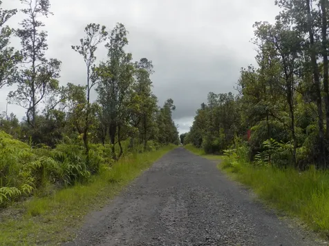 Naia Street Mountain View HI 96771