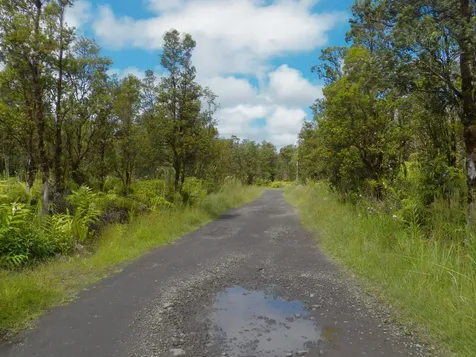 Naia Street Mountain View HI 96771