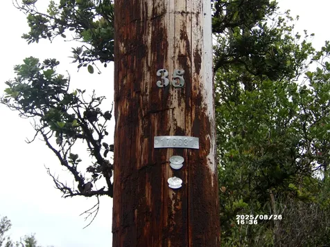 11-3048 Ala Naulani Road Volcano HI 96785