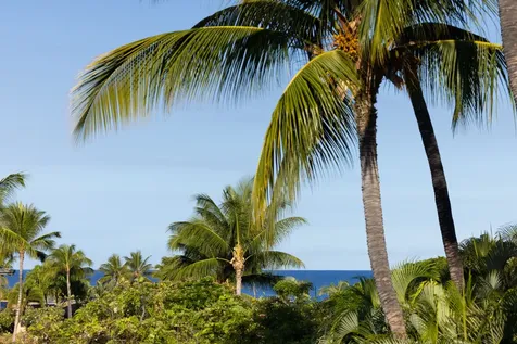 69-1010 Keana Place Waikoloa HI 96738