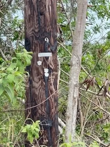 Mark Twain Street Naalehu HI 96772