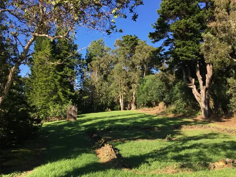 64-5300 Puukapu Street Kamuela HI 96743