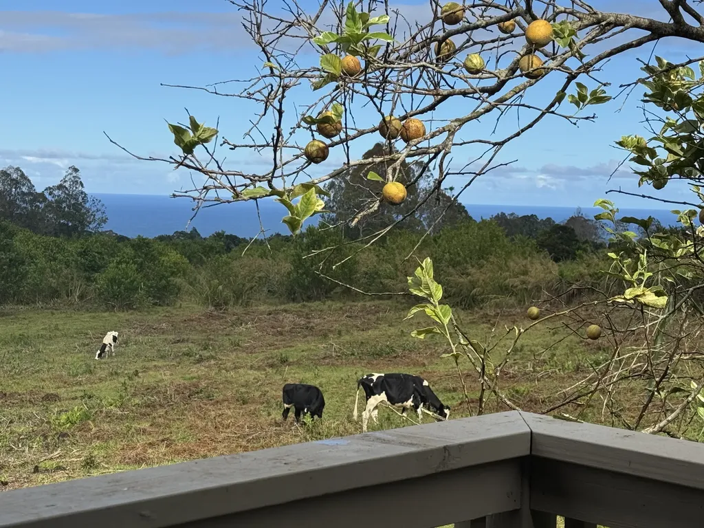 28-646 Kaupakuea Homestead Road Pepeekeo HI 96783