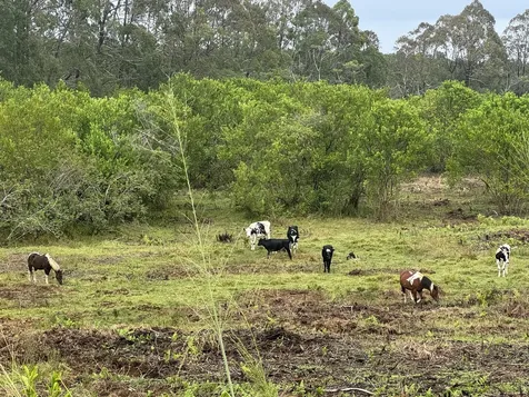 28-646 Kaupakuea Homestead Road Pepeekeo HI 96783