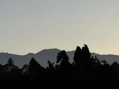 28-646 Kaupakuea Homestead Road Pepeekeo HI 96783