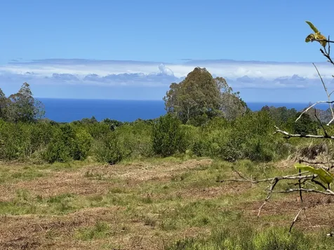 28-646 Kaupakuea Homestead Road Pepeekeo HI 96783