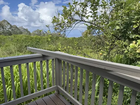 28-646 Kaupakuea Homestead Road Pepeekeo HI 96783