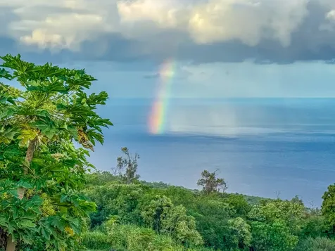 87-2793 Hawaii Belt Road Captain Cook HI 96704