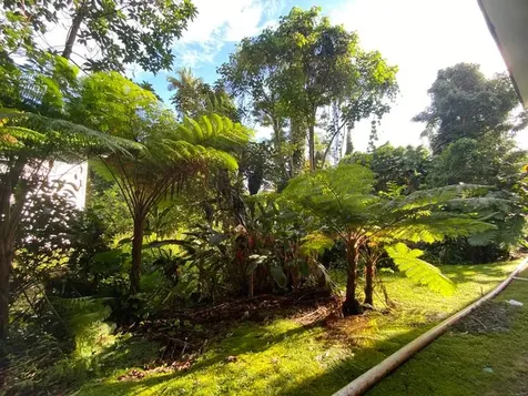 360 Kauila Street Hilo HI 96720